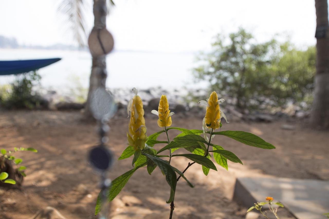 Kala Bahia Patnem Beach Bagian luar foto